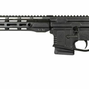 WSM15 300BLK 16" BLK 10+1 CA