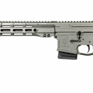 WSM15 300BLK 16" GRY 10+1 CA